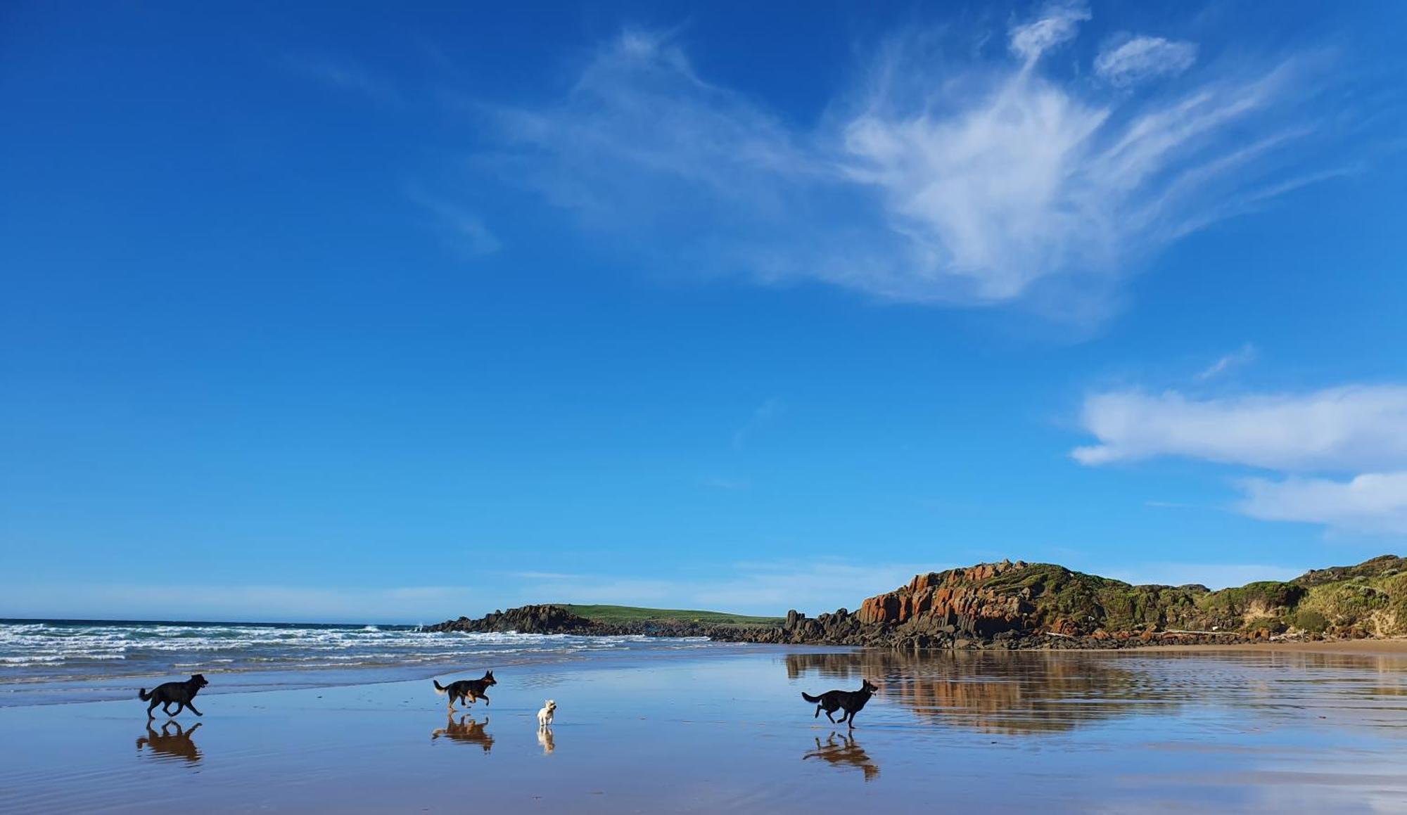 Hotel Hawley House Port Sorell Exteriér fotografie