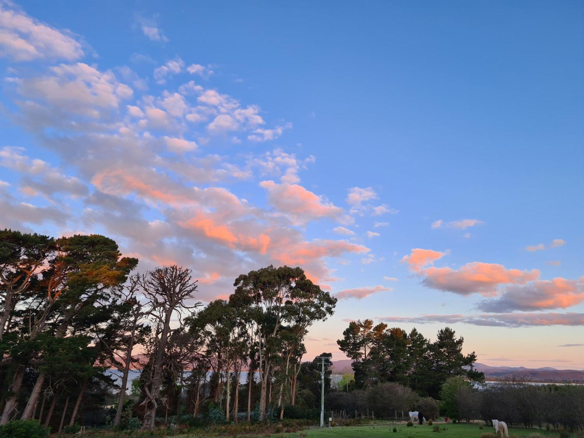 Hotel Hawley House Port Sorell Exteriér fotografie